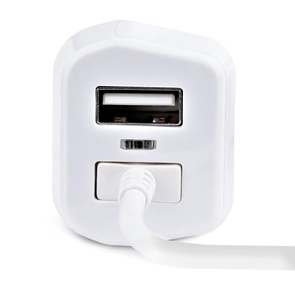 Solution Charge Rapide Voiture StarTech USBLT2PCARW2 contre Batterie Faible