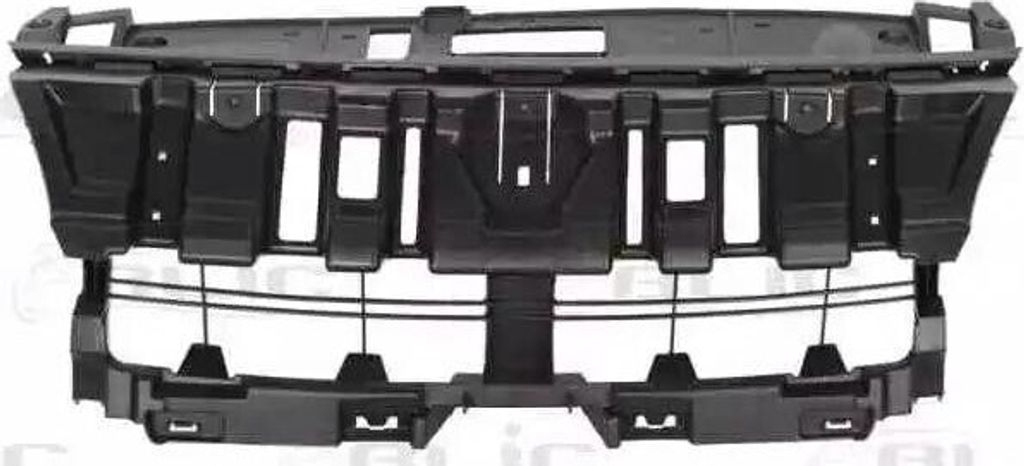 BLIC Halter Kühlergitter 6502-07-6046992P für RENAULT Scénic III (JZ0/1)