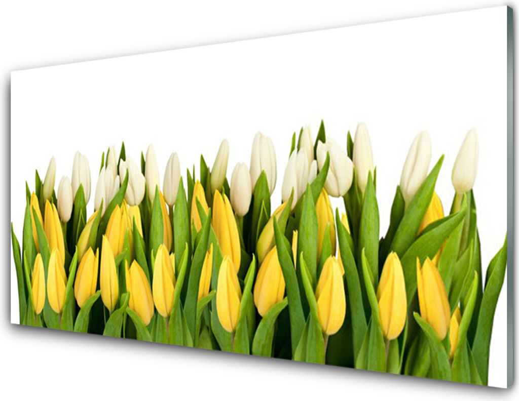 Küchenrückwand aus Glas 100x50cm Spritzschutz Tulpen Pflanzen
