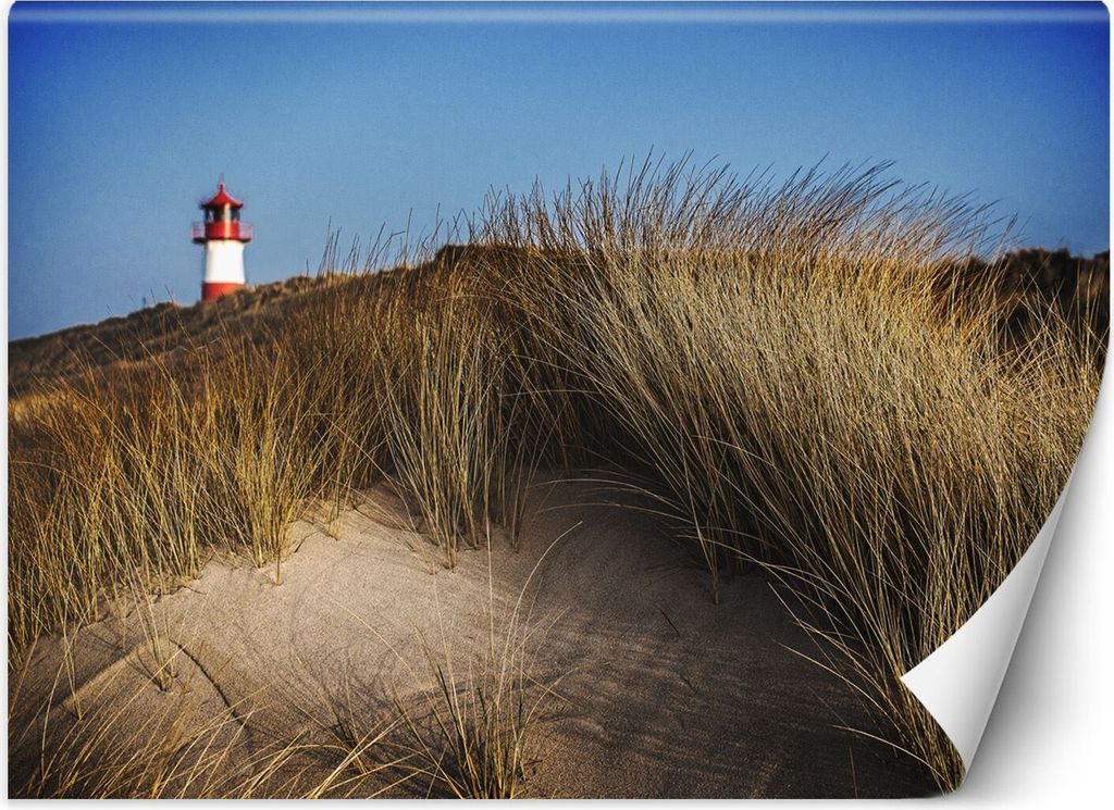 Vlies fototapete Leuchtturm Dünen Gräser Meer 250x175 cm Feeby Beige inkl. Kleber einfache Montage