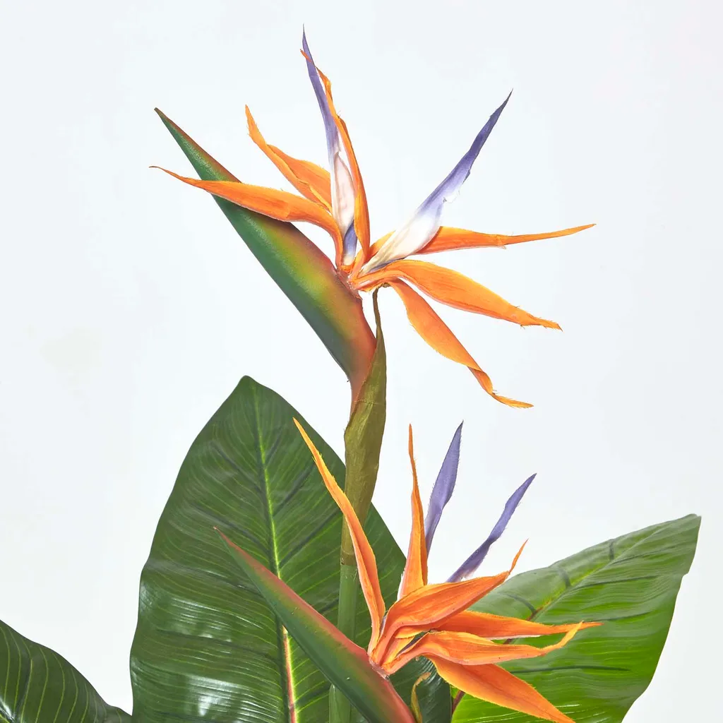 Pianta Uccello del Paradiso Artificiale 120cm Homescapes Decor - 5