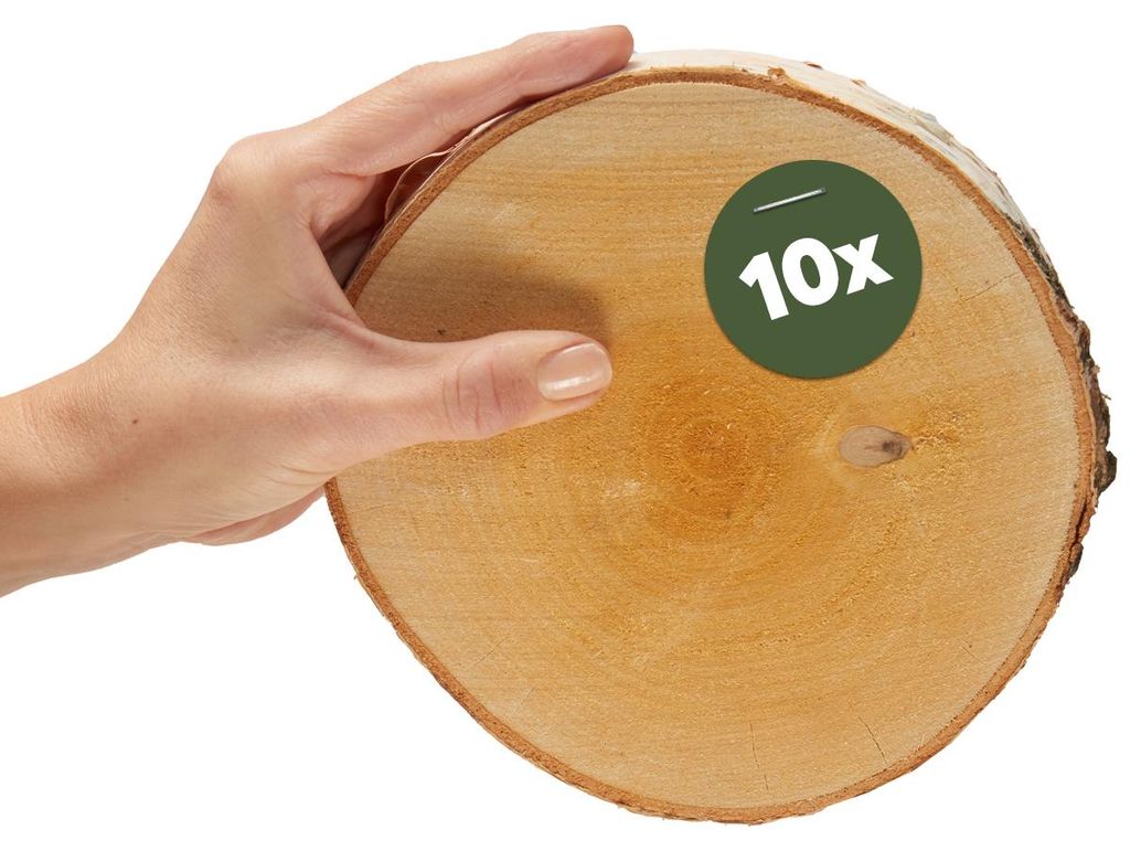 Kleine 16 cm Baumscheiben 10er Pack zum Holz-Deko Basteln Produktbild 
