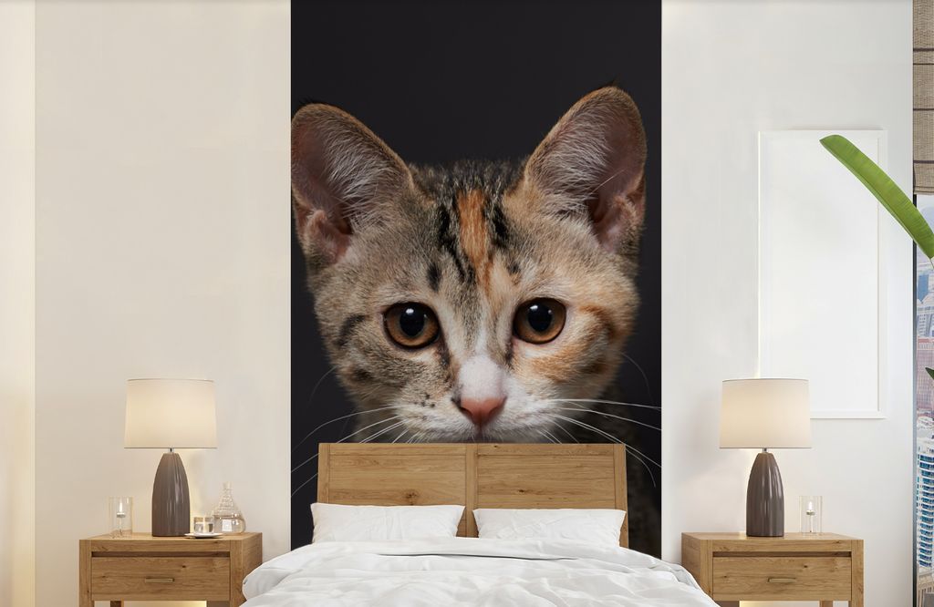 MuchoWow Fototapete für Wohnzimmer oder Schlafzimmer Wandtapete Vinyl Motivtapete Katze - Schwarz - Porträt - 120x240 cm - Hintergrundbild