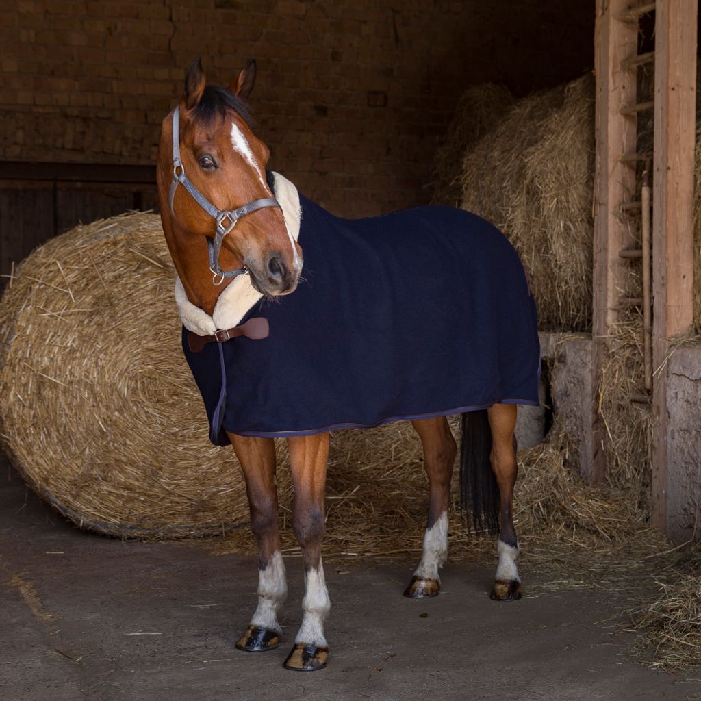 Equithème Teddy Wolldecke - marineblau