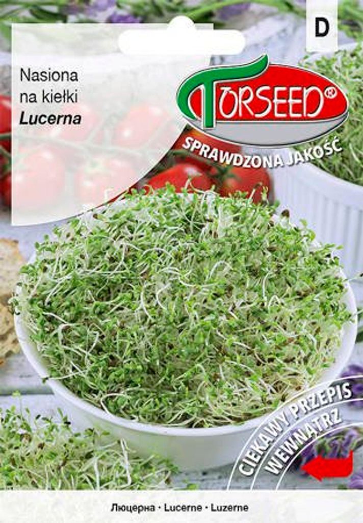 Alfalfa-Sprossensamen 100g - Torseed Produktbild 