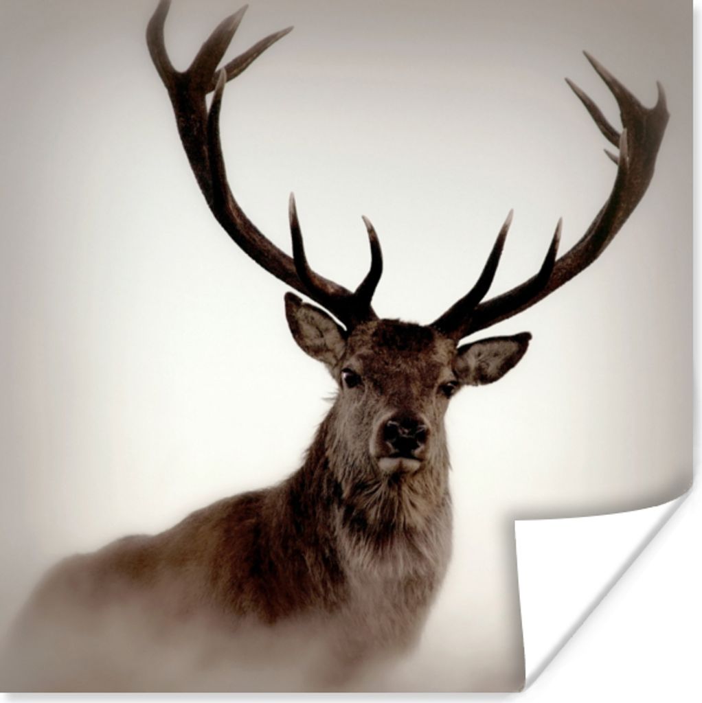MuchoWow Poster Porträt - Hirsch - Geweih 30x30 cm - Wandposter - Printing