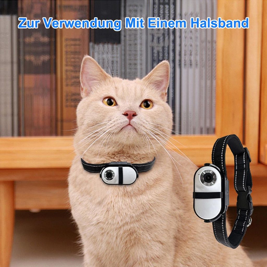 halsband und leine Hunde-Walking-Set  Halsband, Leine und passende Tasche