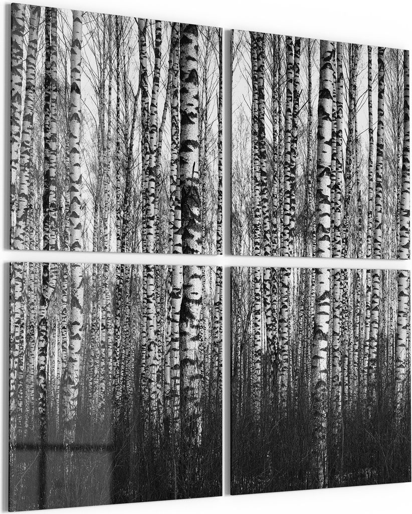 DEQORI Glasbild Echtglas 4x50x50 cm 'Schönheit des Waldes' Wandbilder XXL groß
