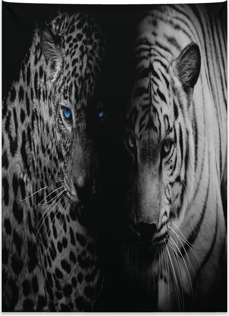 Abakuhaus Schwarz und weiß Wandteppich, Wilde Leoparden aus Weiches Mikrofaser Stoff Kein Verblassen Klare Farben Waschbar, 110 x 150 cm, Weiß Sc...