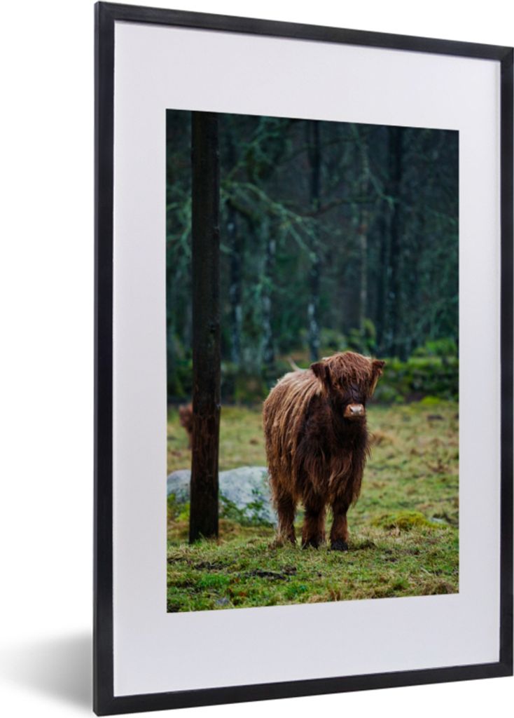 MuchoWow MuchoWow Gerahmtes Poster Schottisches Hochlandrind - Wald - Moos 40x60 cm - Poster mit zchwarzem Bilderrahmen - Poster in Rahmen