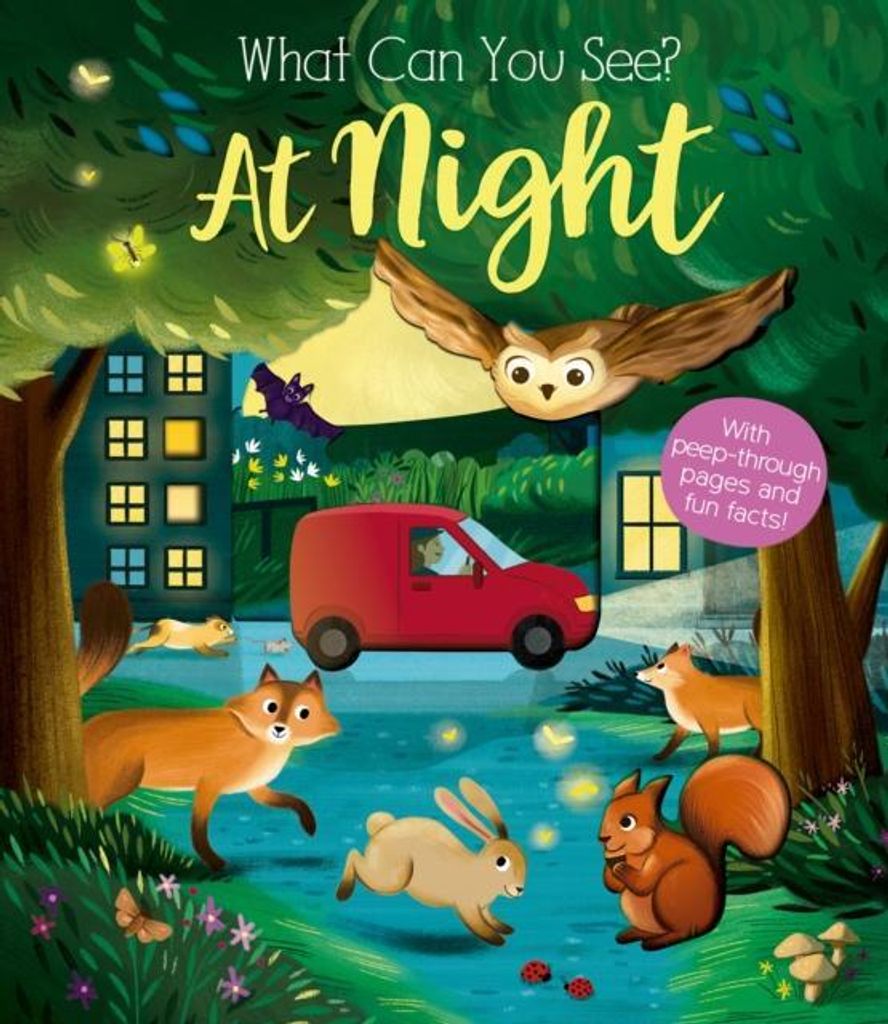 What Can You See At Night – Lingua: Inglese
