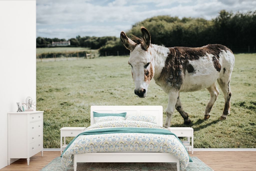 MuchoWow Fototapete für Wohnzimmer oder Schlafzimmer Wandtapete Vinyl Motivtapete Esel im Grasland - 330x220 cm - Fototapeten