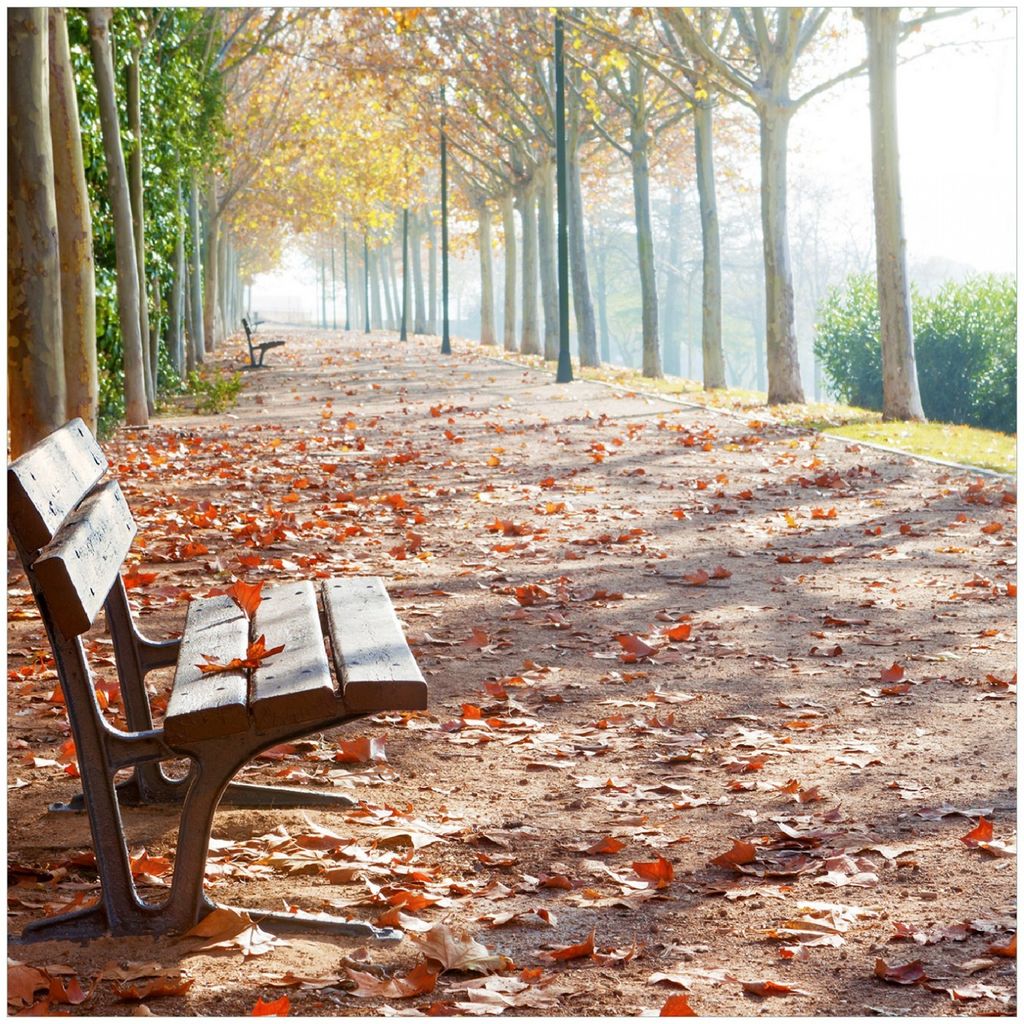 Wallario Memoboard Magnettafel aus Glas, Größe 50 x 50 cm, Motiv Einsame Parkbank an einer Allee - Herbststimmung