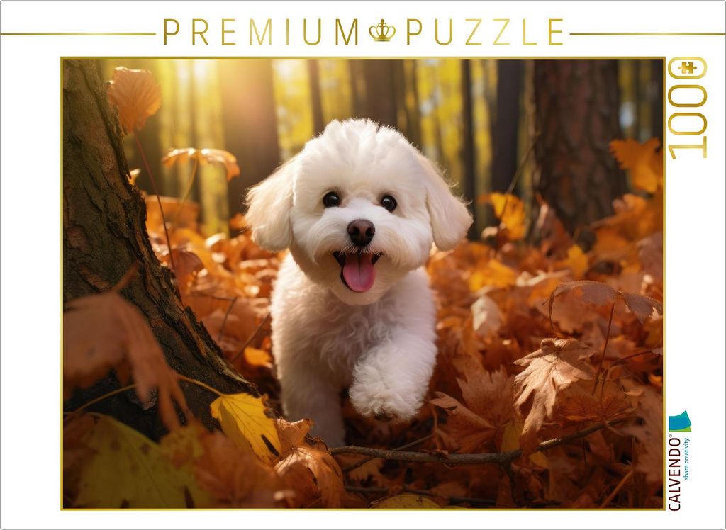 CALVENDO Puzzle Ein Motiv aus dem Kalender "Bichon frisé, weiße Hündchen mit lockigem Haar" | 1000 Teile Lege-Größe 64x48cm Foto-Puzzle für g...