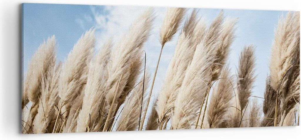 Bild auf Leinwand - Leinwandbild - Einteilig - Stock Himmel Boho - 120x50cm - Wand Bild - Wanddeko - Wandbilder - Leinwanddruck - Bilder - Wanddeko...