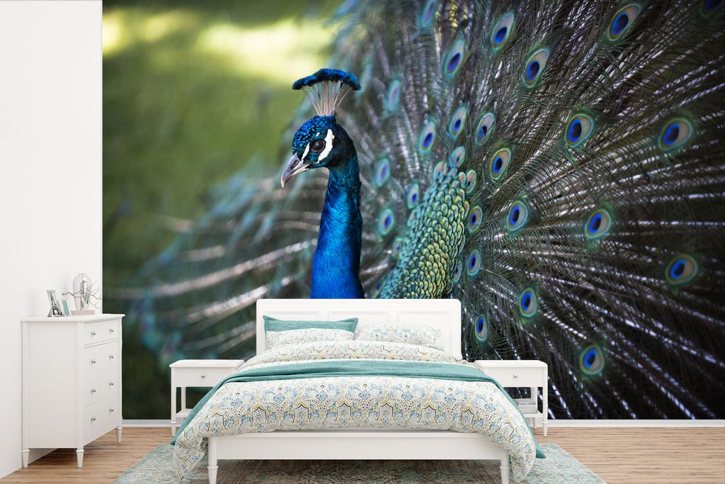 MuchoWow Fototapete für Wohnzimmer oder Schlafzimmer Wandtapete Vinyl Motivtapete Pfau - Vögel - Blau - 390x260 cm - Papiertapete