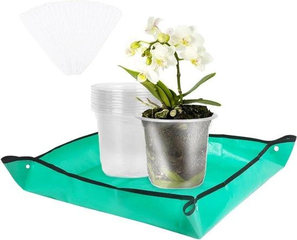 Pot de Rempotage Orchidée 11 cm Transparent avec Soucoupe Anti-Débordement