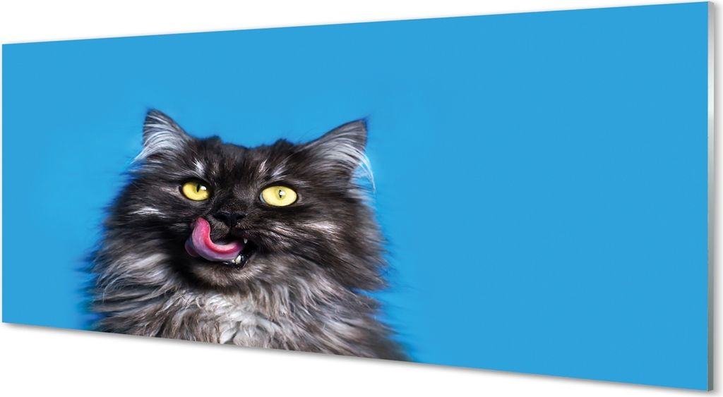 Glasbilder 125x50 Wandkunst Oblizujący eine Katze