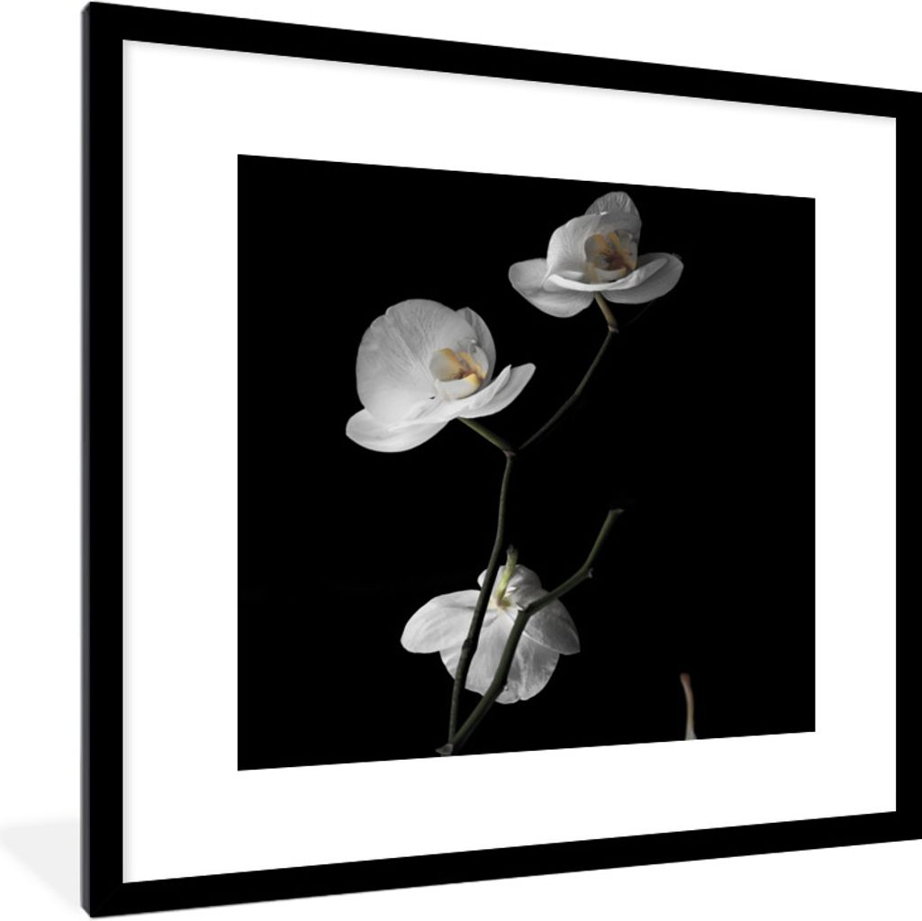 MuchoWow Gerahmtes Poster Orchidee - Blumen - Schwarz - Weiß - Stilleben 40x40 cm - Poster mit Schwarzem Bilderrahmen Wandposter Rahmen Foto Bil...