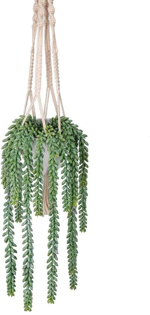 Mur végétal décoratif pour cacher un mur nu avec plantes suspendues