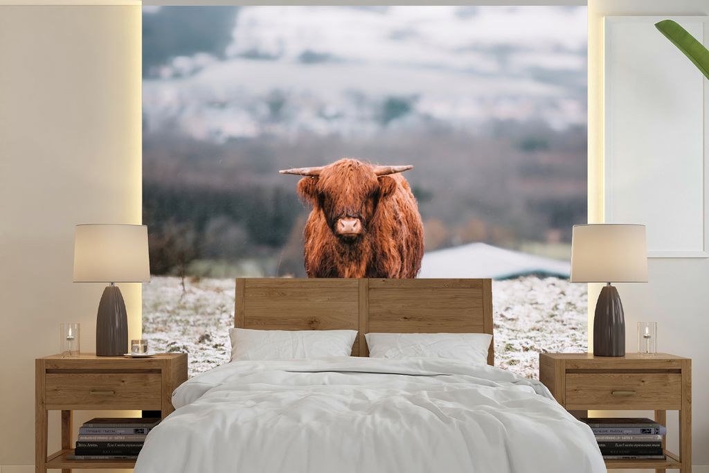 MuchoWow Fototapete für Wohnzimmer oder Schlafzimmer Wandtapete Vinyl Motivtapete Schottischer Highlander - Schnee - Berg - 240x240 cm - Schlafz...