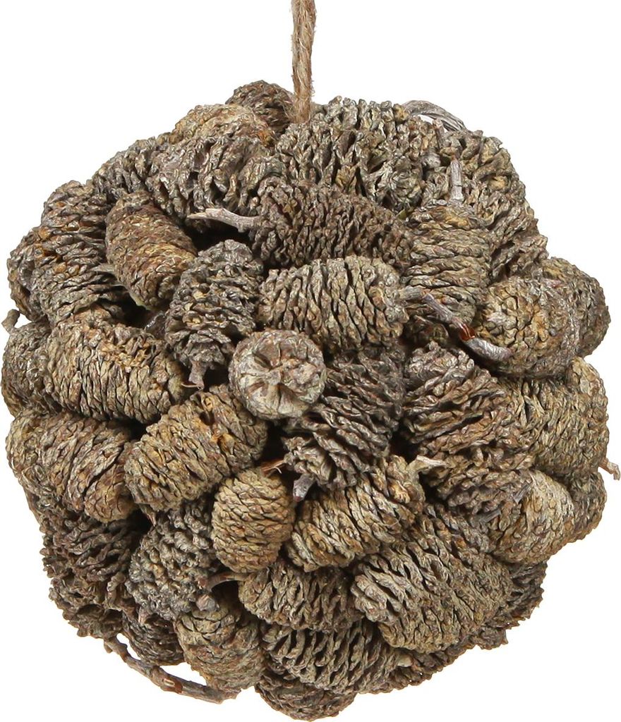 Deko Kugel mit Erlenzapfen zum Aufhängen für Winter- und Weihnachtsdekoration