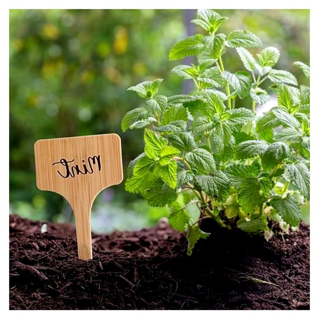40 Stück Pflanzenschilder, Wetterfeste Stecketiketten für Pflanzen, Langlebige Holzpflanzenschilder, Umweltfreundliche Gartenschilder für Kräut...