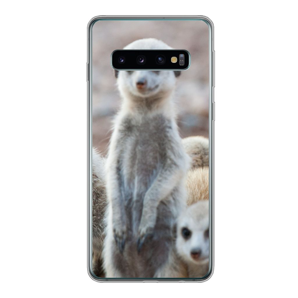 MuchoWow Handyhülle Schutzhülle Hülle für Samsung Galaxy S10 Neugierige Erdmännchen Silikon Softcase Handy Hülle - Handytasche