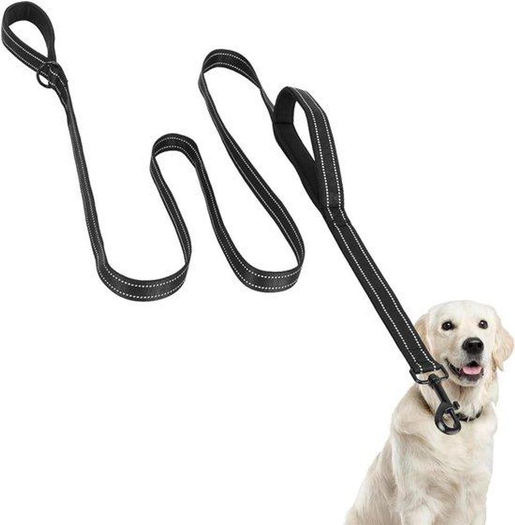 2m lange Nylon-Trainingsriemen mit doppel gefederten Griffen | Zwei Zugmodi | Reflex-Bezug | Nylon-Hundeleine für große und mittelgroße Hunde | ...