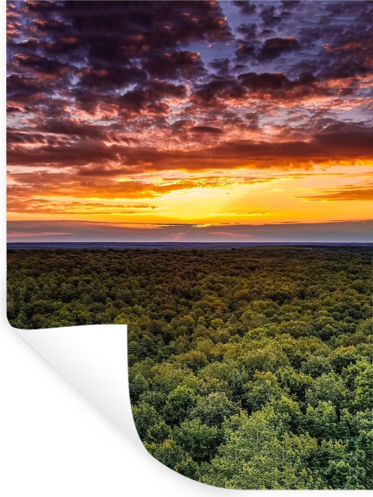MuchoWow Wandtattoo Wandsticker Wandaufkleber Wald - Nacht - Himmel - Horizont - Bäume 60x80 cm Selbstklebend und Repositionierbar - Repositioni...