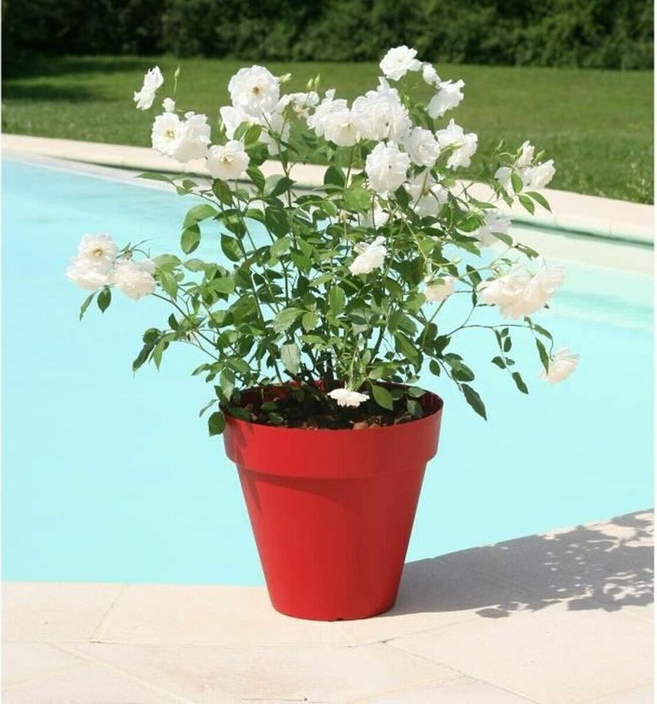 Pot de fleurs RIVIERA Soleilla - Rond - Ø 60 x 53,6 cm - Image du produit 