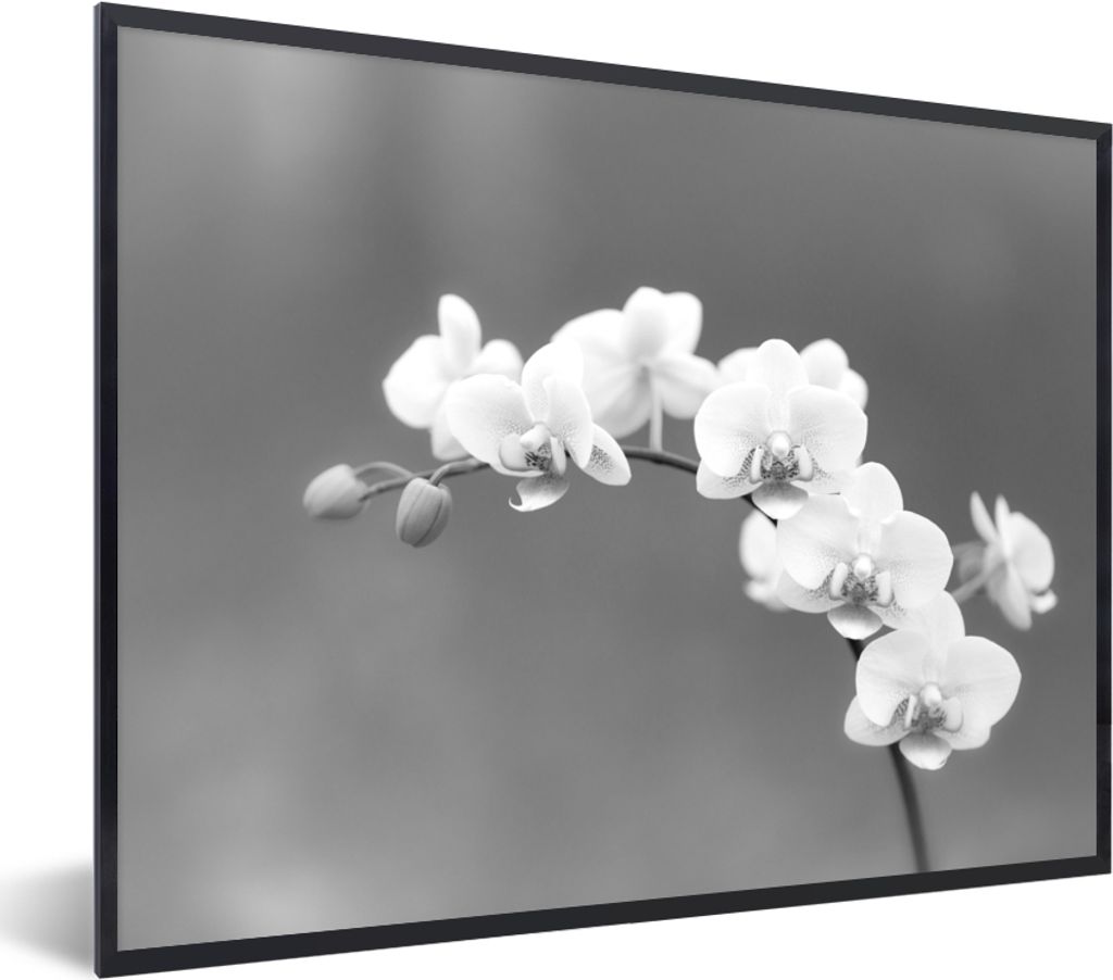 MuchoWow Gerahmtes Poster Orchidee - Blumen - Pflanze - Weiß - Lila 80x60 cm - Poster mit Schwarzem Bilderrahmen Wandposter Rahmen Foto Bilder