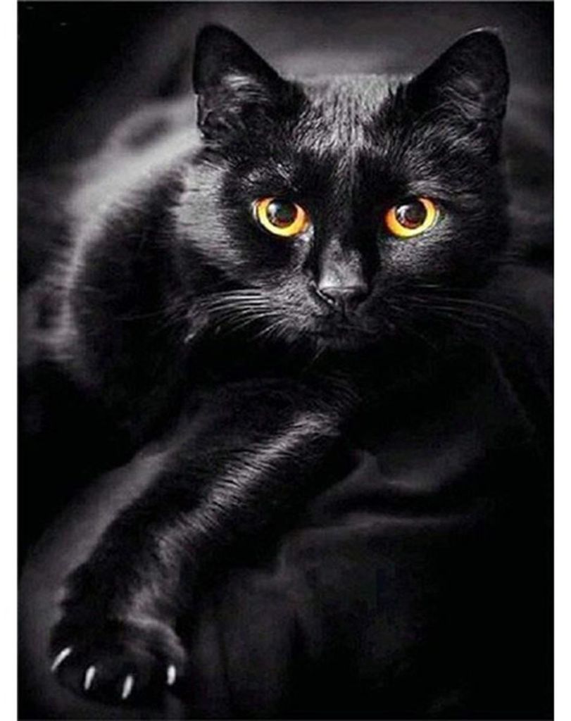 Pittura diamante Gatto nero 30x40 cm Immagine del prodotto 