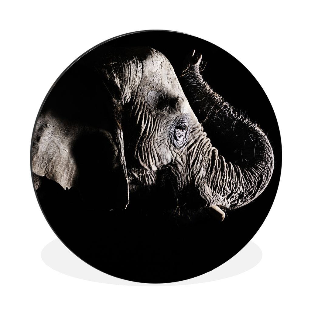 MuchoWow Aluminium Wandkreis Elefant - Schwarz - Tiere - Natur Ø 60 cm Wanddeko Modern Wohnzimmer - Wand Kreis - Wandbild - Schlafzimmer - Alumi...