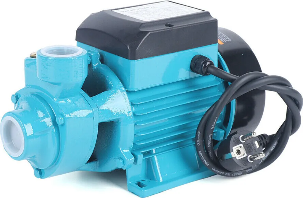 Pompe de jardin 220V idéale pour booster l'arrosage et la pression maison