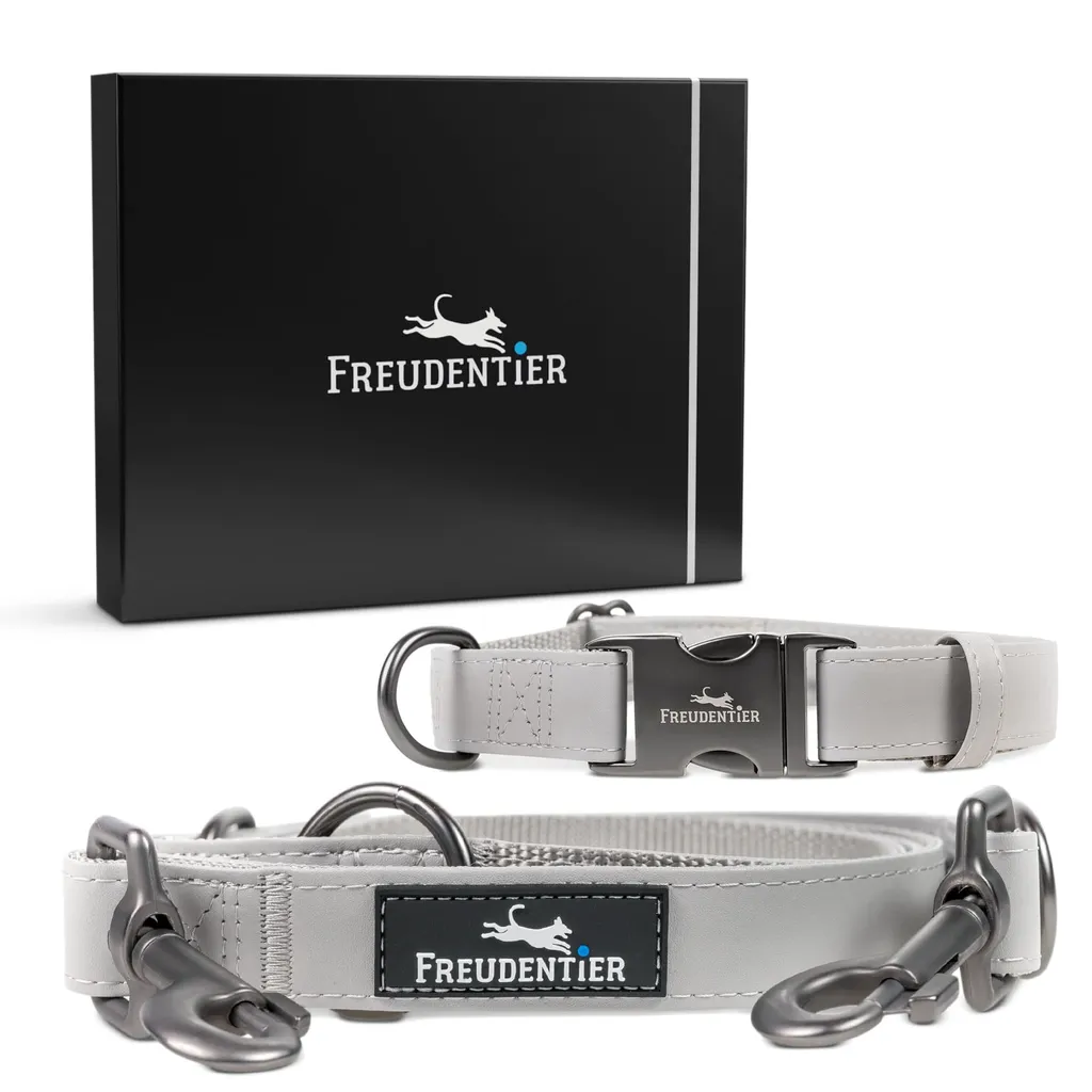 Set Collier et Laisse pour Chien Hyde Park en Cuir Robuste 37-58cm