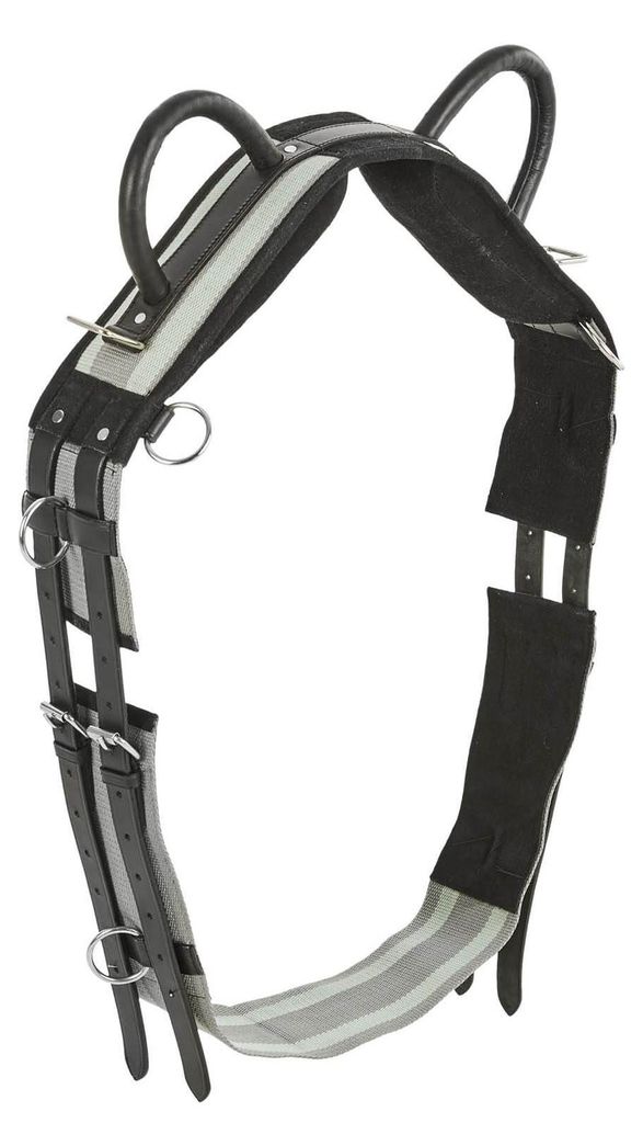 BUSSE Longiergurt Double Schwarz Pony
