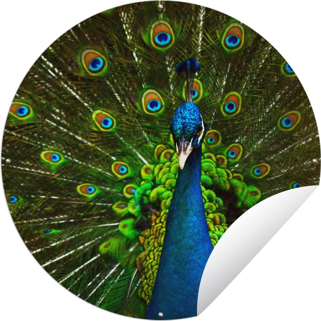 MuchoWow Gartenposter Outdoor-Poster Rund Pfau - Federn - Muster - Blau Ø 60 cm Gartendeko Rundes Poster draußen