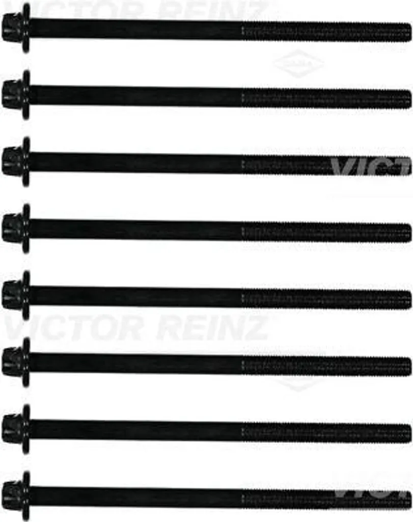 Victor Reinz 14-12252-01 Jeu de vis de culasse pour BMW F20 F21 F40