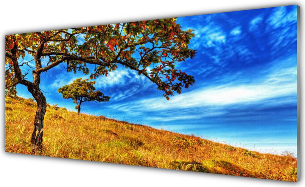 Acrylglasbilder 125x50 Wandbild Druck Wiese Bäume Natur