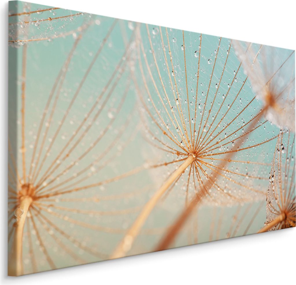 Fabelhafte Canvas LEINWAND BILDER 120x80 cm XXL Kunstdruck Natur Blumen Pusteblumen