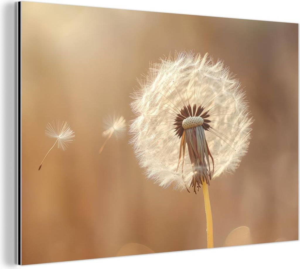 MuchoWow Wanddekoration Metall Metallbild Wandkunst 90x60 cm Löwenzahn - Beige - Natur - Blume MuchoWow Aluminium Gemälde - Wandbilder