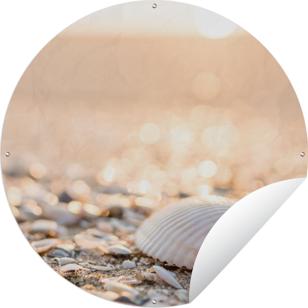MuchoWow Gartenposter Outdoor-Poster Rund Muscheln - Weiß - Strand - Sommer Ø 60 cm Gartendeko Rundes Poster draußen