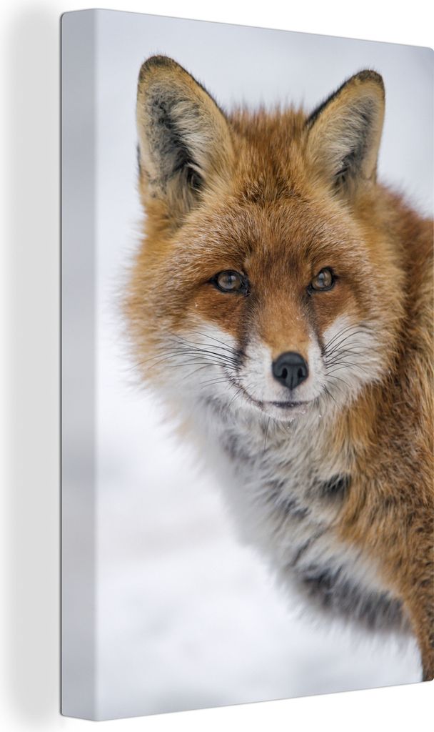 OneMillionCanvasses - Leinwandbilder - 90x140 cm, Fuchs - Porträt - Schnee, Wandbilder Kunstdruck Wanddekoration - Foto auf Leinwand - Gemälde ...