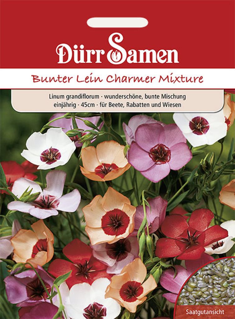 Dürr-Samen - Bunter Lein Charmer Mix einjährig 45 cm - Saatgut - 0996