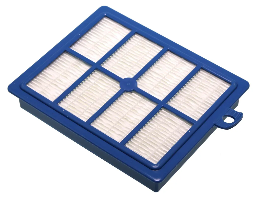 Electrolux EFS1W Filtro Aspirapolvere | Originale vs Compatibile