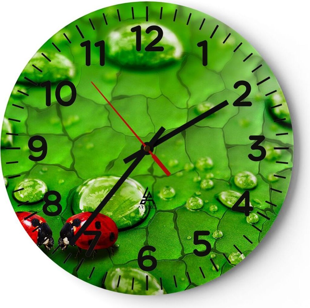 Wanduhr - Rund - Glasuhr - Marienkäfer Gras Blatt Tropfen - 40x40cm - Schleichendes Uhrwerk - Lautlos - zum Aufhängen bereit - Dekoration Modern ...