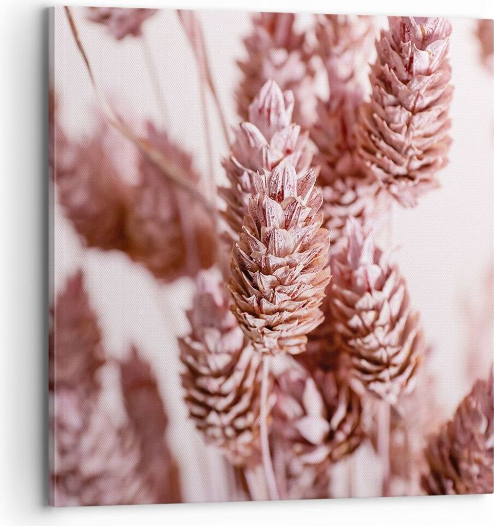 Bild auf Leinwand - Leinwandbild - Einteilig - Getrocknet Blume Eco - 70x70cm - Wand Bild - Wanddeko - Wandbilder - Leinwanddruck - Bilder - Wandde...