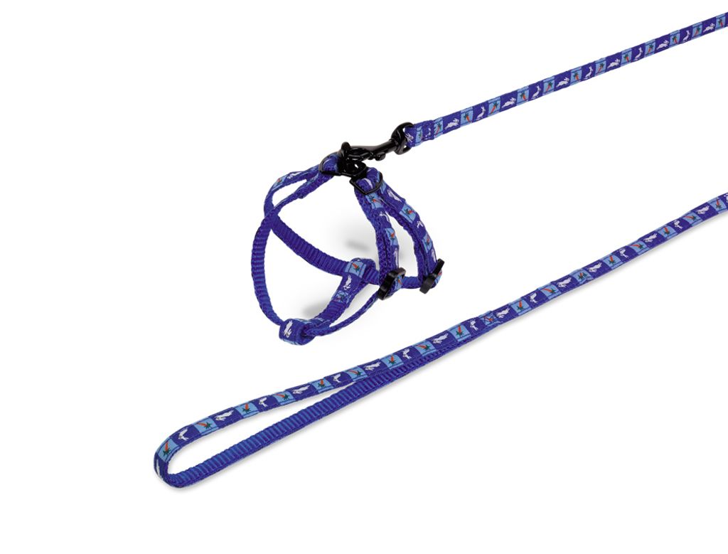 Nobby Garnitur Nylon Kaninchen "Carrot" blau
