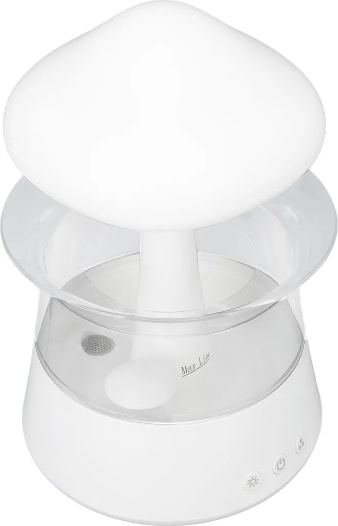 Humidificateur Nuage de Pluie Anti Air Sec et Diffuseur Champignon Calme